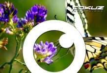 TOP 30 Drum’n’Bass (November Chart/Playlist 2017)