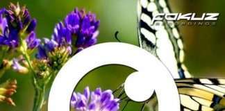 TOP 30 Drum’n’Bass (November Chart/Playlist 2017)