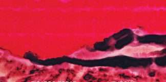 ESP Institute welcome Chilean-born Ricardo Tobar who merges heritage and influence for his label debut ‘Liturgia’/Hear ‘La Dormida’