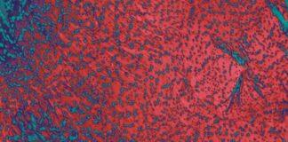 Listen : Daktyl & Aquilo – 6 Letters