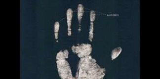 Premiere: Audiokern – Under The Same Sun