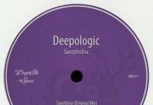 Premiere : Deepologic – Falling Gatera
