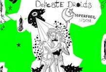 Premiere : Delicate Droids – Where Are My Panties