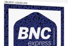 Track of the Day : Delroy – The Liquid Life