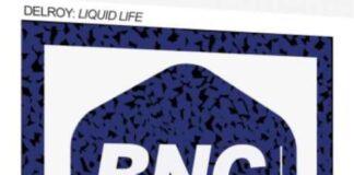 Track of the Day : Delroy – The Liquid Life