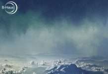 Premiere : Blamhaus – Cauliflower Rice