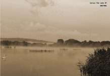 Listen : Ambient-electronic producer Jarvus shares debut single “Rock Pools”