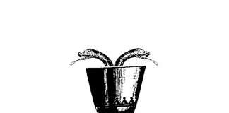 Track Of The Day : Serpente – Sob A Palha