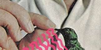 Listen : Balako – Don’t Give Up