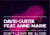 David Guetta and Anne-Marie new single Don’t Leave Me Alone(preview)