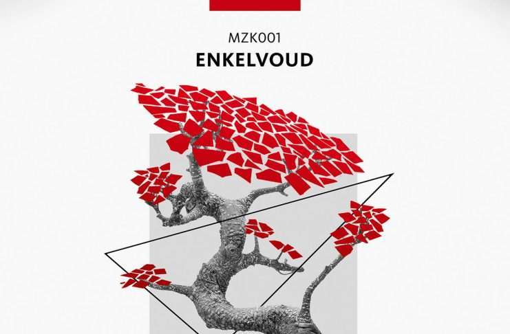 Track of the Day : Enkelvoud – 15 mm