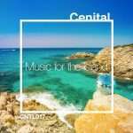 Music For The Island (#dubiksmusiccharts Selection)