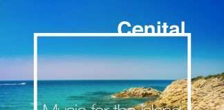 Music For The Island (#dubiksmusiccharts Selection)