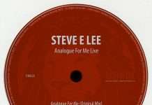 Premiere : Steve e Lee – Analogue for Me