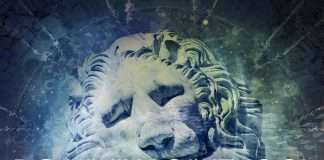 Premiere : Dominik Pointvogl – Berlin Rooftop