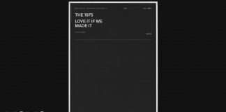 The 1975 – Love It If We Made It