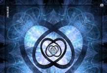 Premiere : Heartwurkz – Petals