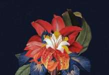 Listen : Maribou State’s new single ‘Nervous Tics (feat. Holly Walker)’