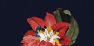 Listen : Maribou State’s new single ‘Nervous Tics (feat. Holly Walker)’