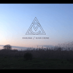 Listen :Marley Carroll’s “Starlings / Seven Crows” on Loci Records