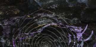 Terranova to release ‘Licht Aus’ EP ( 1st Musica Cavernicola release)