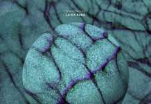 NenaHalena feat. Akil – La Ku Rubà (ELEMENTS)out 14th September