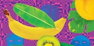 Kim Ann Foxman presents Pleasure Planet, alongside Andrew Potter and Brian Hersey-EP Released 31st August 2018 on self : timer