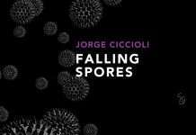 Premiere : Jorge Ciccioli – Phyla