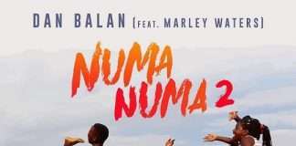Dan Balan releases “Numa Numa 2”
