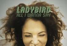 Ladybird “All I Wanna Say LP”(ft. Phil Weeks, Chris Carrier, Art Of Tones, Chris Stussy & More) on Robsoul Recordings