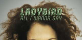 Ladybird “All I Wanna Say LP”(ft. Phil Weeks, Chris Carrier, Art Of Tones, Chris Stussy & More) on Robsoul Recordings