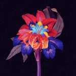 Listen : Maceo Plex Remixes new Maribou State single ‘Nervous Tics’ featuring Holly Walker