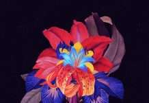 Listen : Maribou State release “Kingdom (feat. North Downs) (Adesse Versions Remix)”