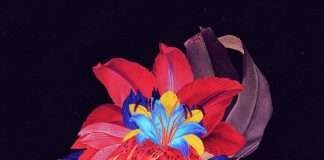 Listen : Maceo Plex Remixes new Maribou State single ‘Nervous Tics’ featuring Holly Walker