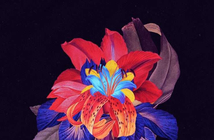 Listen : Maribou State release “Kingdom (feat. North Downs) (Adesse Versions Remix)”