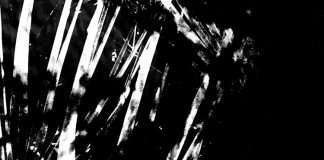 TML – I Need An Exit on Hotflush Recordings