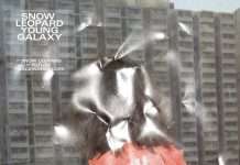 Young Galaxy Announce Snow Leopard EP/Watch “Future”