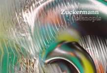 Zuckermann announces 2nd eclectic electronic music album “Solenopsis”