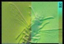 Premiere : Roberto Palmero – Little Chest