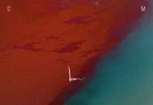 Track of the Day : Thrown – M