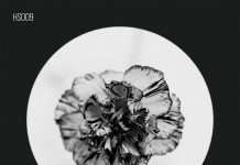 Premiere : Adam Helder – The Swan