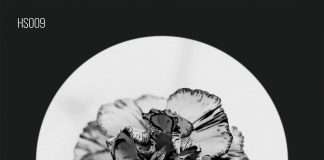 Premiere : Adam Helder – The Swan