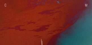 Track of the Day : Thrown – M