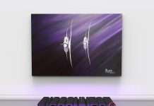 Track of the Day : Charly’n Black – Frêle Défence