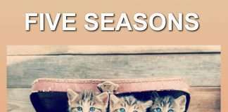 Track of the Day : Five Seasons – Joyride