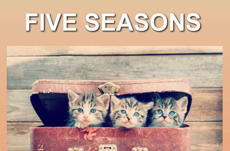 Track of the Day : Five Seasons – Joyride