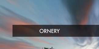 TOP 50 Melodic Chart – October 2018 w #dubiksmusicbox