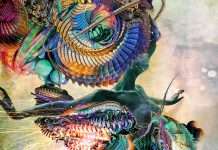 Premiere : KarmasynK – Intimate