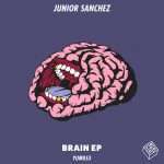Junior Sanchez “Brain EP” (incl. Mak & Pasteman) remix on Food Music
