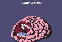 Junior Sanchez “Brain EP” (incl. Mak & Pasteman) remix on Food Music